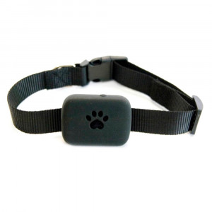 GPS ошейник универсальный для маленьких собак и кошек BW21
